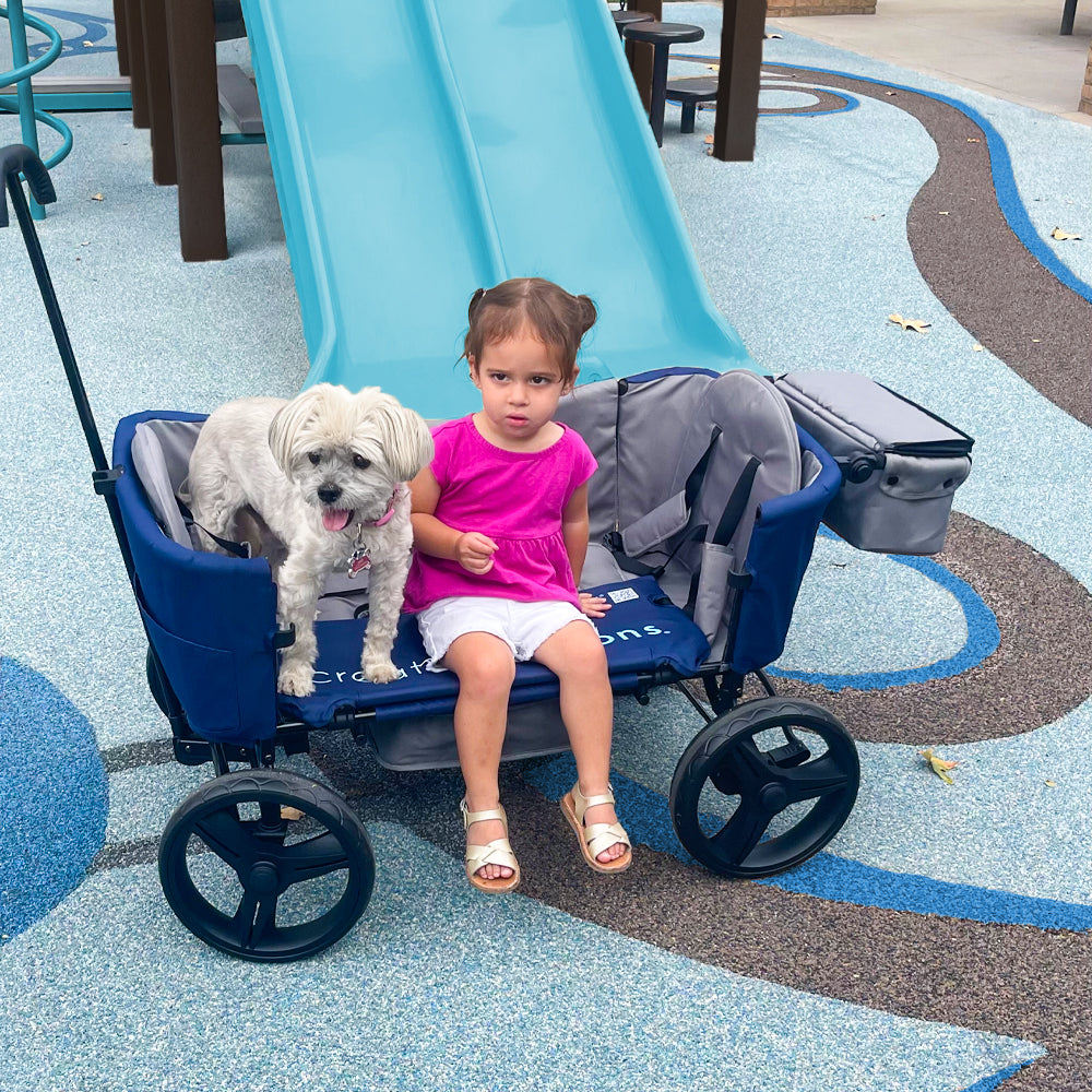 Wagon Buggy | Alle Farben
