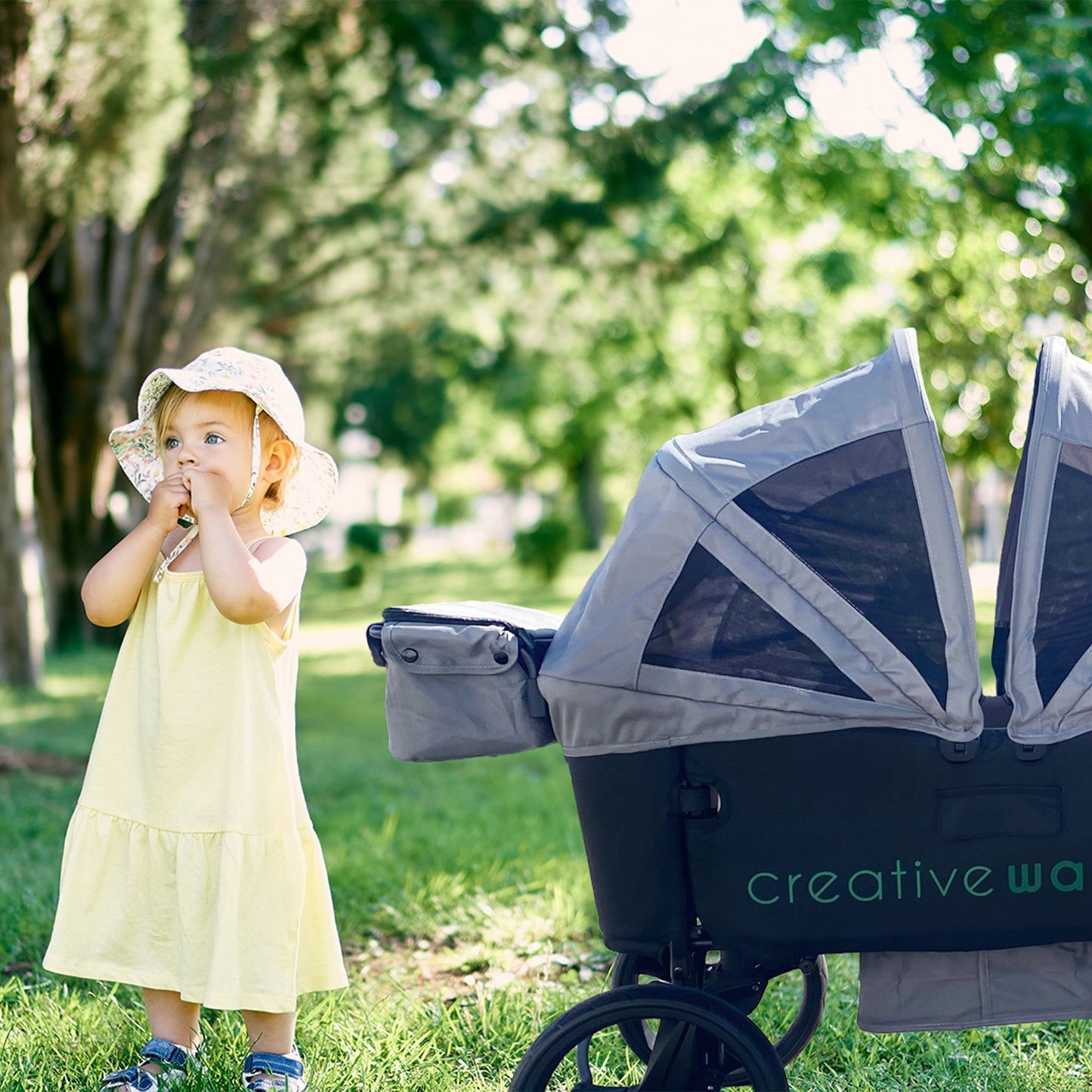 Wagon Buggy | Alle Farben